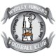 Goalkeeper wanted Wyrley Lionesses U14s